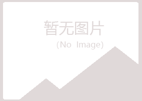 蓝山县凌雪能源有限公司